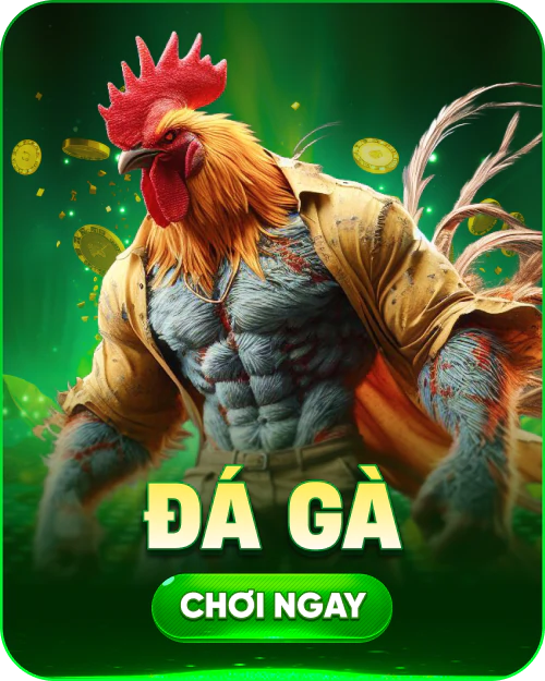 Đá gà