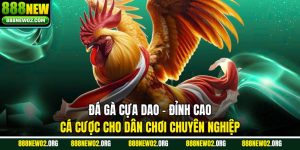 Đá Gà Cựa Dao - Đỉnh Cao Cá Cược Cho Dân Chơi Chuyên Số 1
