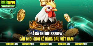 Đá Gà Online 888new – Sân Chơi Chọi Kê Hàng Đầu Việt Nam