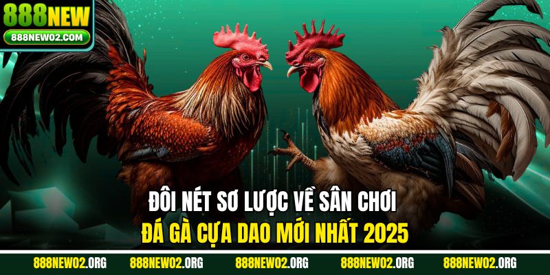 Đôi nét sơ lược về sân chơi đá gà cựa dao mới nhất 2025