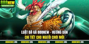Luật Đá Gà 888new - Hướng Dẫn Chi Tiết Cho Người Chơi Mới