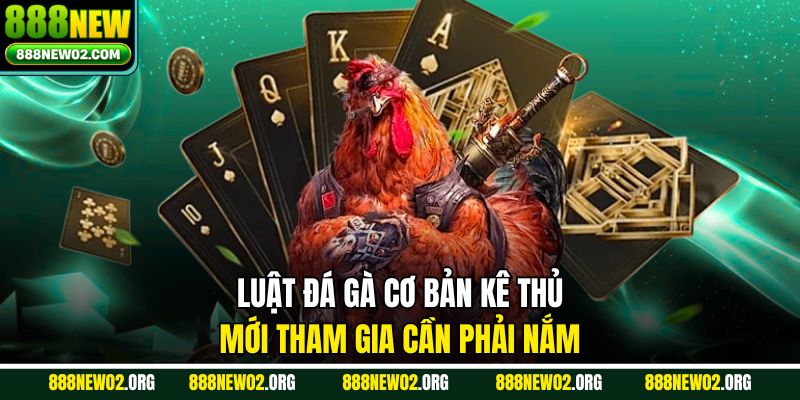 Luật đá gà cơ bản kê thủ mới tham gia cần phải nắm