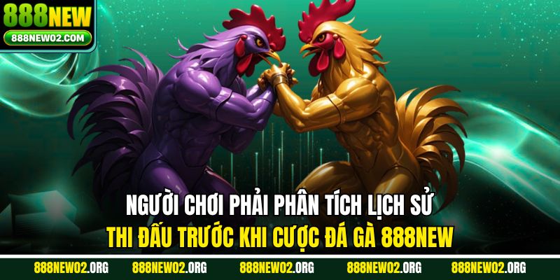 Người chơi phải phân tích lịch sử thi đấu trước khi cược đá gà 888NEW