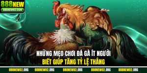 Những Mẹo Đá Gà Giúp Tăng Tỷ Lệ Thắng Không Nên Bỏ Qua
