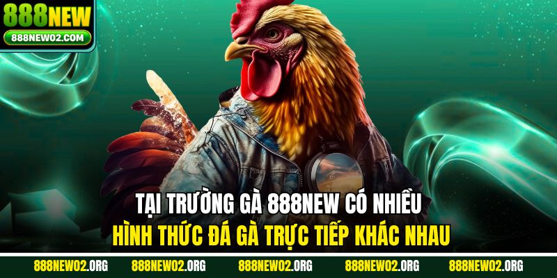 Tại trường gà 888NEW có nhiều hình thức đá gà trực tiếp khác nhau