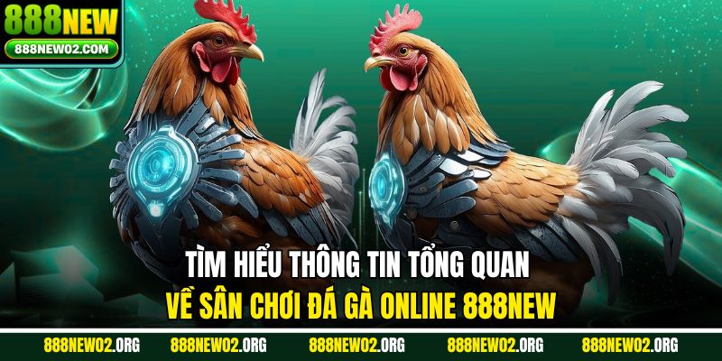 Tìm hiểu thông tin tổng quan về sân chơi đá gà online 888new